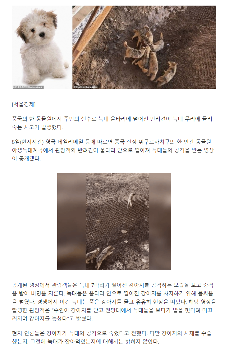 news.v.daum.net_v_20210410090023631.png