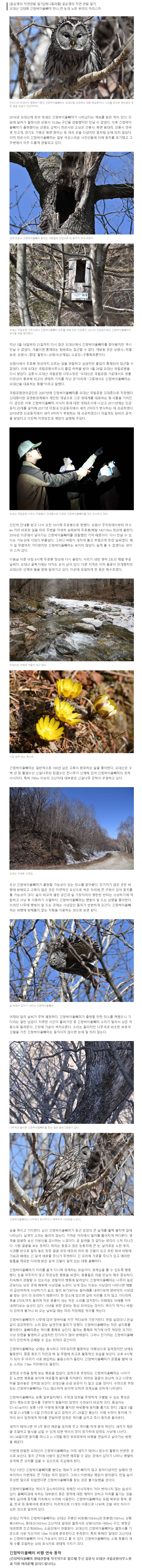 news.v.daum.net_v_20210412112605036 (1).png