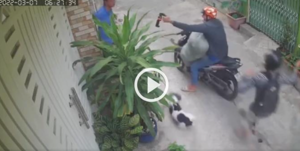 개주인에게 최루액을 뿌리며 달아나는 '개도둑' 일당 [VN익스프레스 사이트 캡처. 재판매 및 DB 금지]