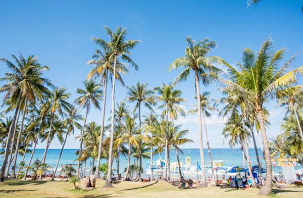 베트남이 3월15일부터 외국인 여행객을 대상으로 국경을 전면 개방했다. 사진은 베트남 푸꾸옥 / 여행신문CB