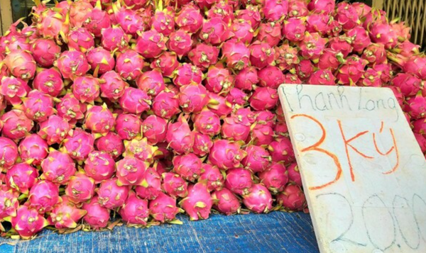 호치민의 한 길거리에서 노점 판매중인 다량의 용과 / 출처 : 베트남 코리아 타임즈