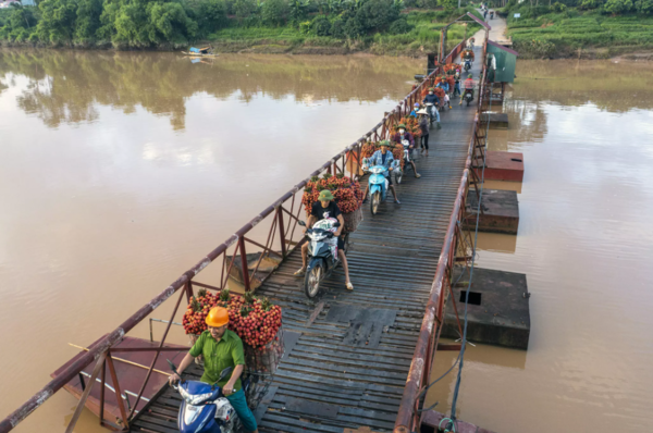 Tòng Lệnh 다리 / 사진=Vietnamnet