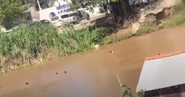 지난 18일 캄보디아의 카지노에서 일하던 베트남인 노동자들이 본국으로 돌아오기 위해 빈디 강에 뛰어들어 헤엄치고 있다 / VN익스프레스 캡쳐