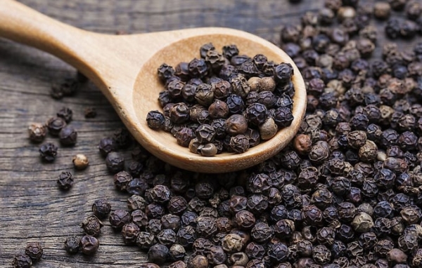 세계 최대 후추 수출국인 베트남의 후추 가격이 올들어 공급난이 심화하며 큰 폭으로 뛰어올랐다. 이번주 현지 후추 가격은 kg당 12만동(4.7달러)으로 전년동기대비 2배나 올라 8년래 최고치를 기록했다. 베트남후주향신료협회는 엘니뇨로 인해 전세계 공급이 줄어든 가운데 수요가 증가하며 향후 후추 가격이 상승세를 이어갈 것으로 전망했다. (사진=nongnghiep)