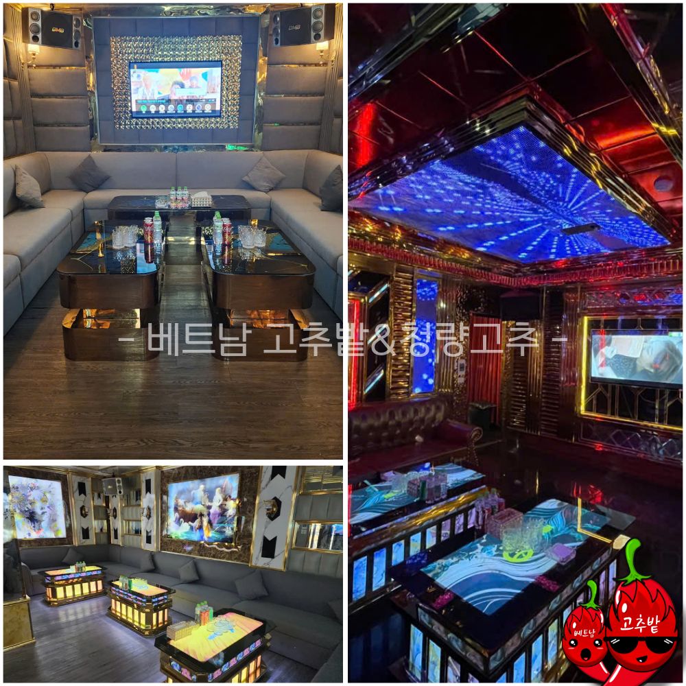 하노이 비타민 가라오케 지점 안내